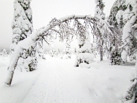 Riisitunturi National Park